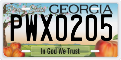 GA license plate PWX0205
