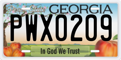 GA license plate PWX0209