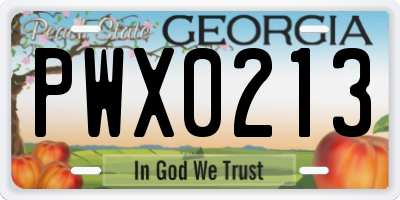 GA license plate PWX0213