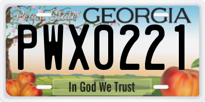 GA license plate PWX0221