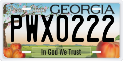 GA license plate PWX0222