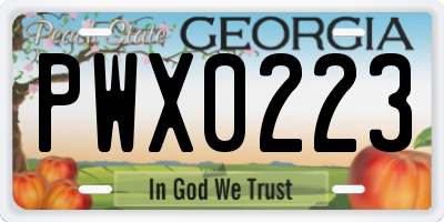 GA license plate PWX0223