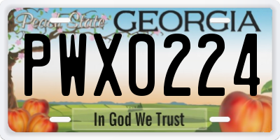 GA license plate PWX0224