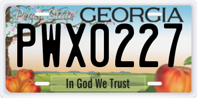 GA license plate PWX0227
