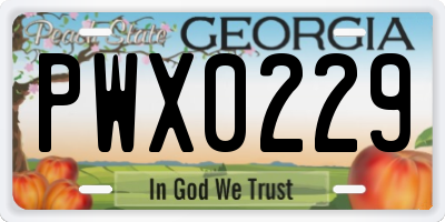 GA license plate PWX0229