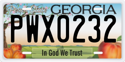 GA license plate PWX0232