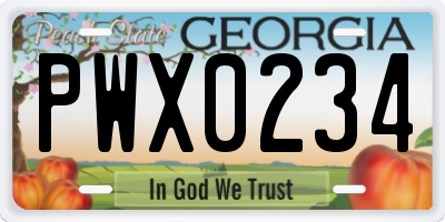 GA license plate PWX0234