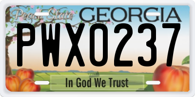 GA license plate PWX0237