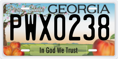 GA license plate PWX0238