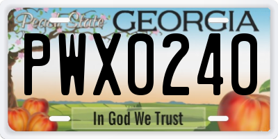 GA license plate PWX0240