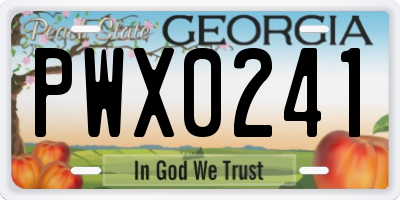 GA license plate PWX0241
