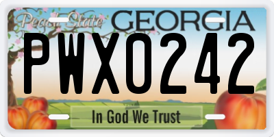 GA license plate PWX0242