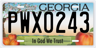 GA license plate PWX0243