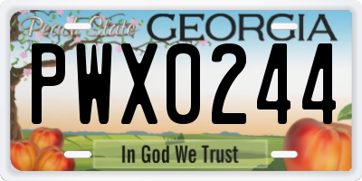 GA license plate PWX0244