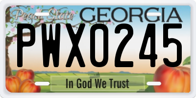 GA license plate PWX0245