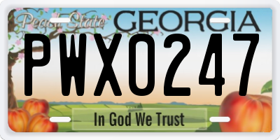 GA license plate PWX0247