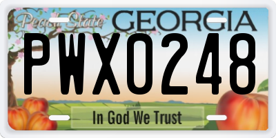 GA license plate PWX0248