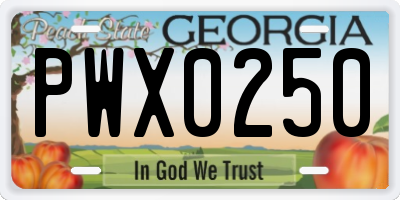 GA license plate PWX0250