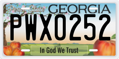 GA license plate PWX0252