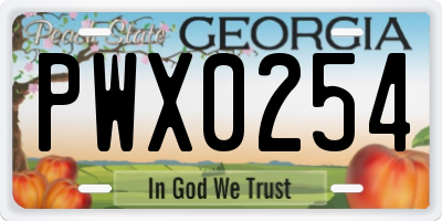 GA license plate PWX0254
