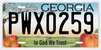 GA license plate PWX0259