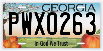 GA license plate PWX0263