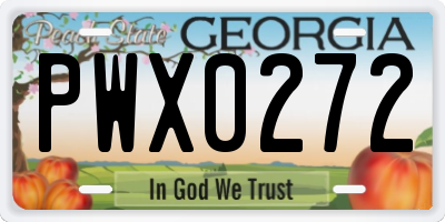 GA license plate PWX0272