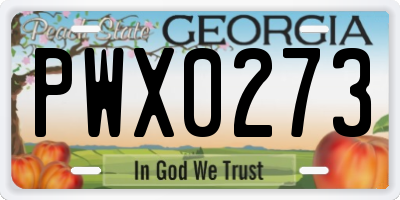 GA license plate PWX0273