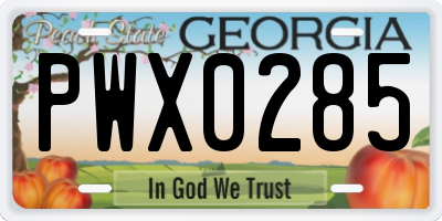 GA license plate PWX0285