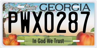 GA license plate PWX0287