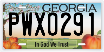 GA license plate PWX0291