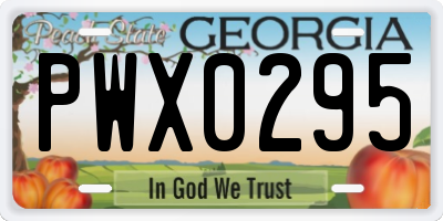 GA license plate PWX0295