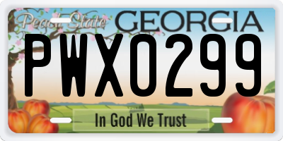 GA license plate PWX0299