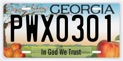 GA license plate PWX0301