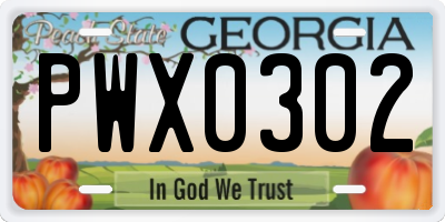 GA license plate PWX0302
