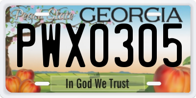 GA license plate PWX0305