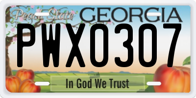 GA license plate PWX0307