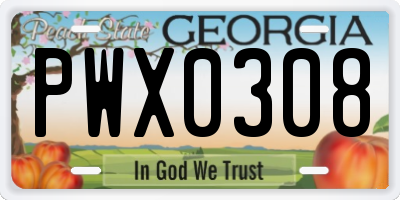 GA license plate PWX0308
