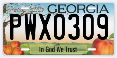 GA license plate PWX0309