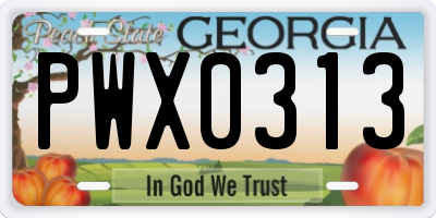 GA license plate PWX0313