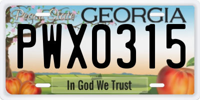 GA license plate PWX0315