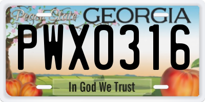 GA license plate PWX0316