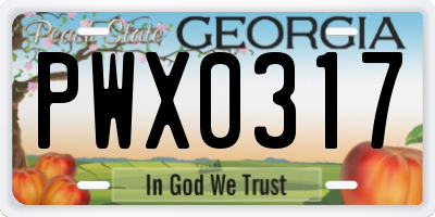 GA license plate PWX0317
