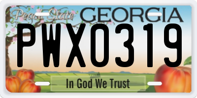 GA license plate PWX0319