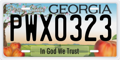 GA license plate PWX0323