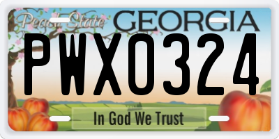 GA license plate PWX0324