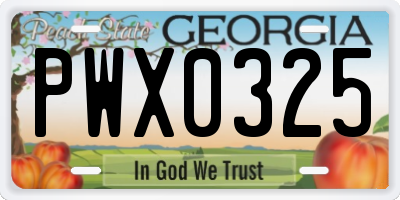 GA license plate PWX0325