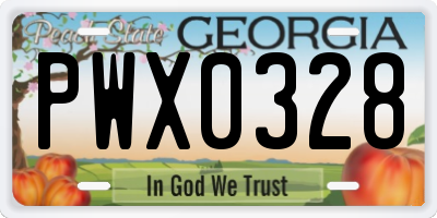 GA license plate PWX0328