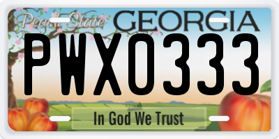 GA license plate PWX0333
