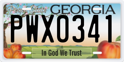 GA license plate PWX0341